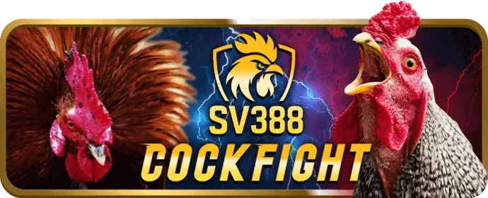 Trải nghiệm di động 678bet win